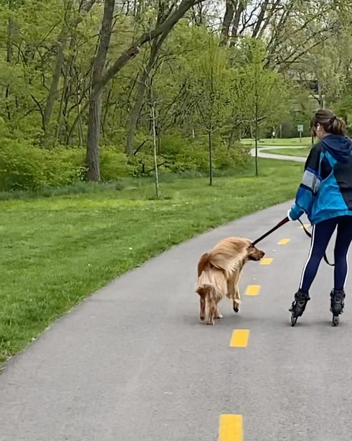 he walked me for like a whole 5k...