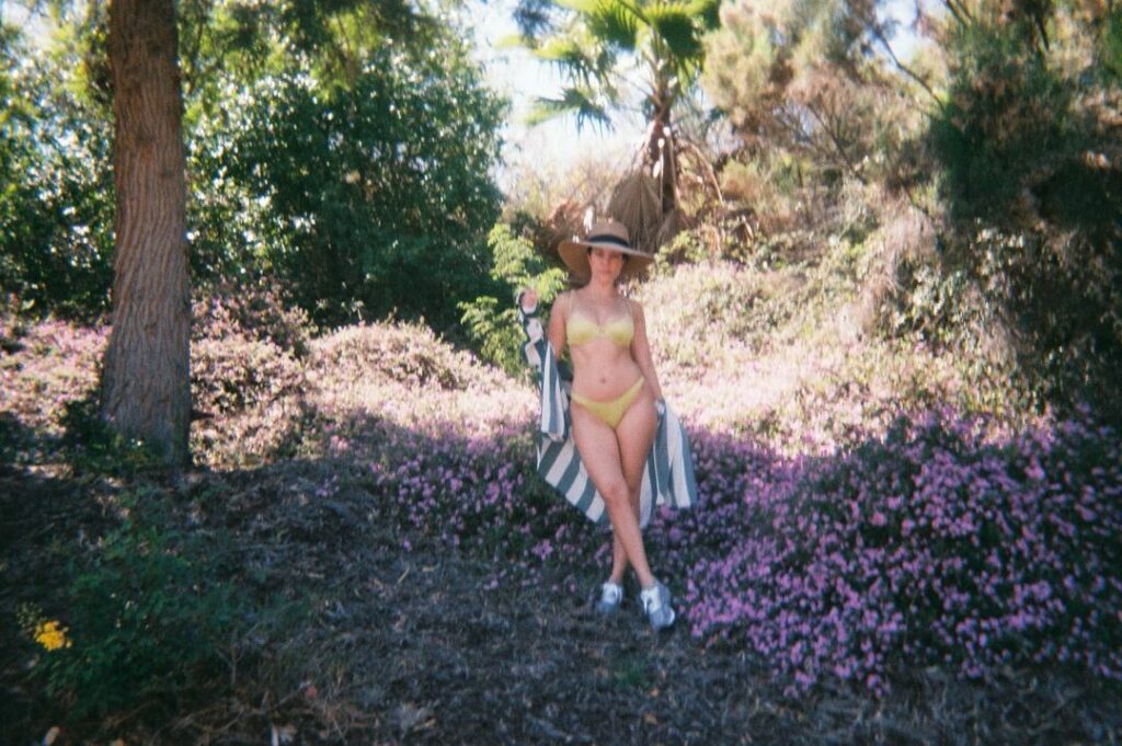 Palm Springs disposable 2020...