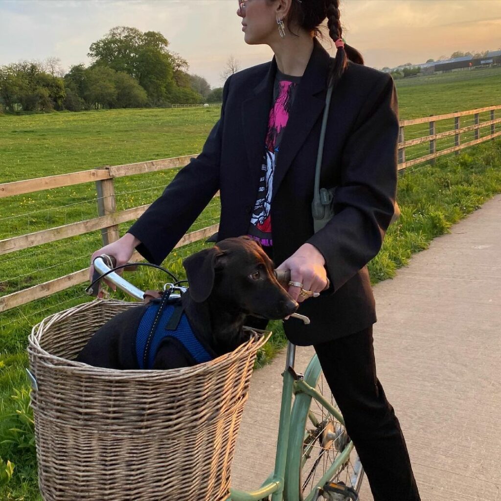 2021 dorothy & toto...