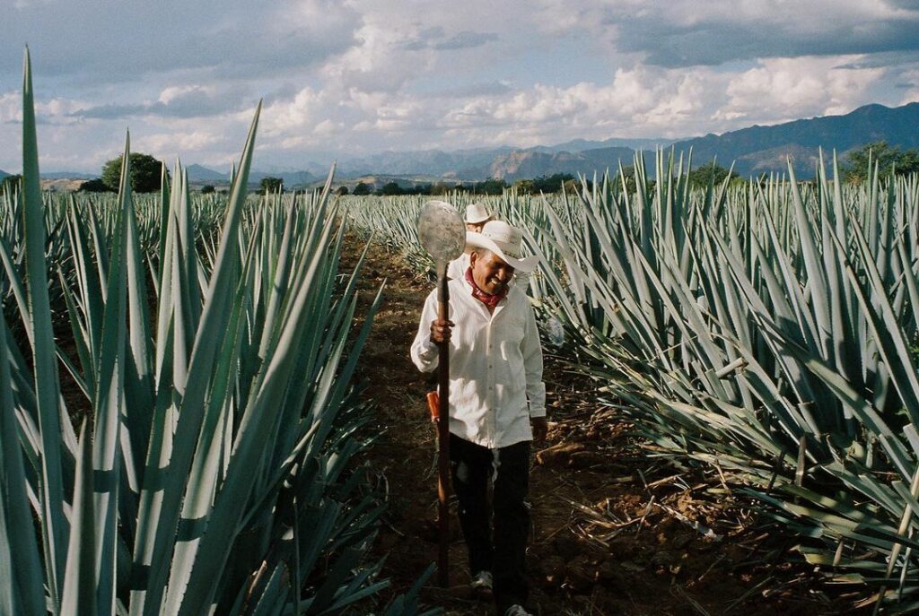 what an incredible experience i have had thus far, learning about this beautiful...