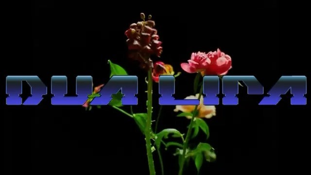 if u see a fairy tell her I called  @danielsannwald ~ @modernweeklystyle...