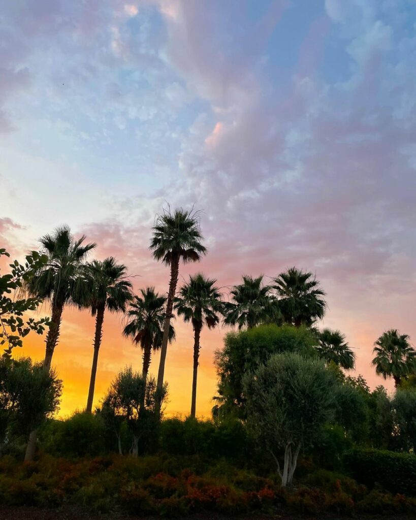 desert sky ...