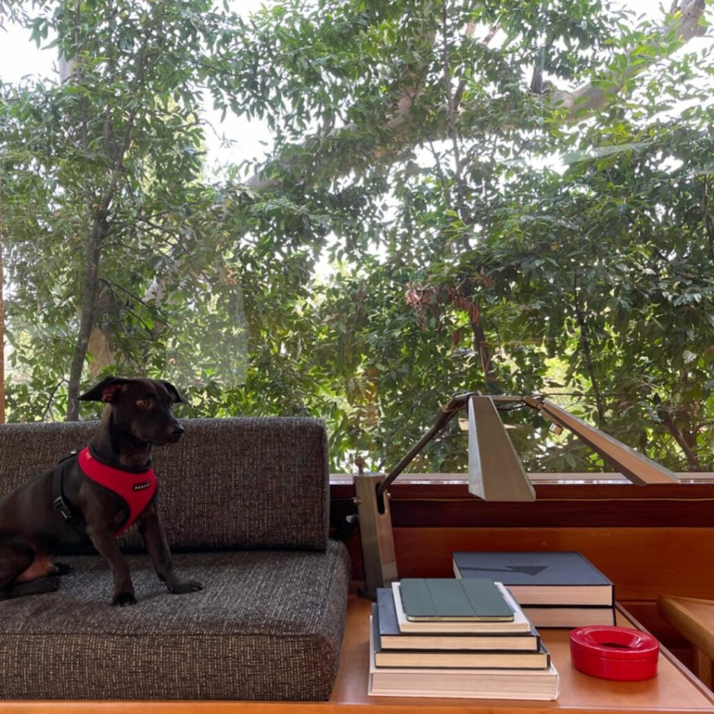 LA randoms - missing Dex ...