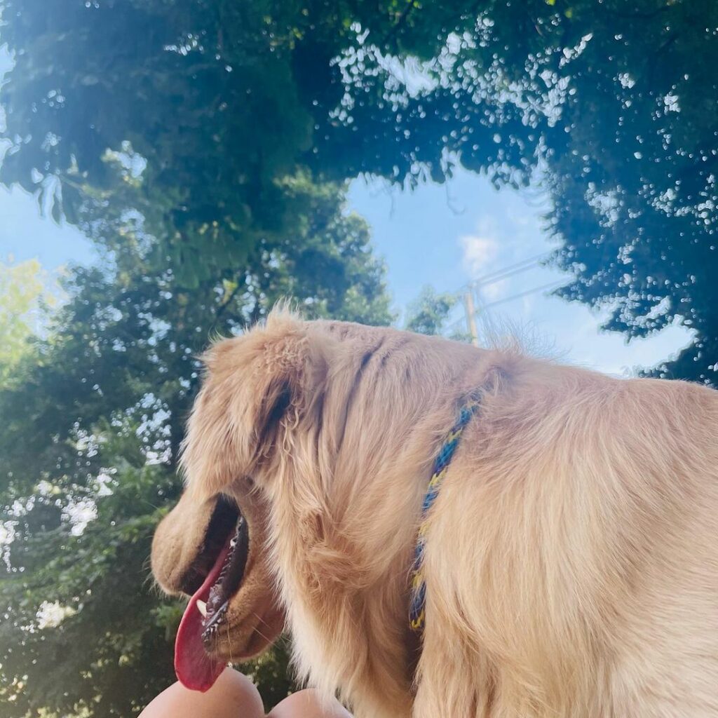 Luvin these vibes  @allendeisabel...