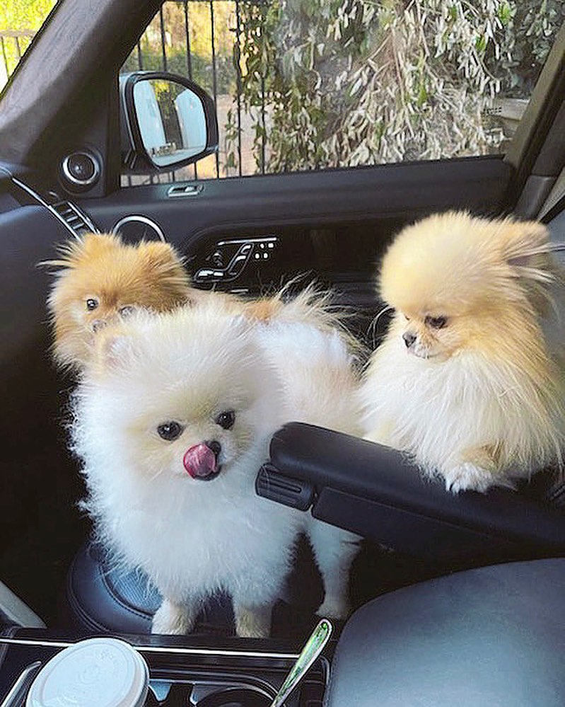 On our way to see the new Paw Patrol Movie  to see our mom Delores    it’s in th...