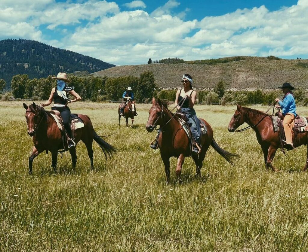 City Slickers ...