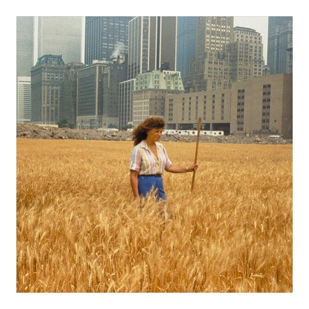 •Wheatfield - A Confrontation: Battery Park Landfill, Downtown Manhattan•
We lov...