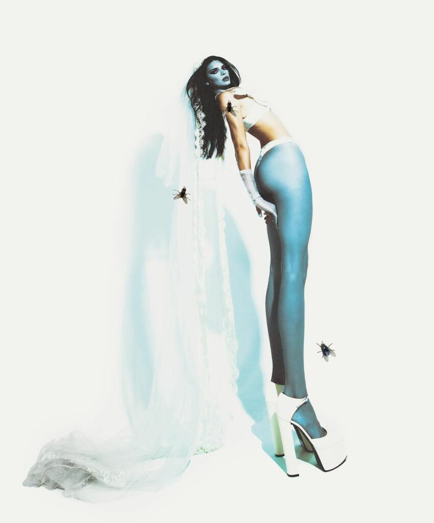 4 days till halloween 
yer corpse bride ...