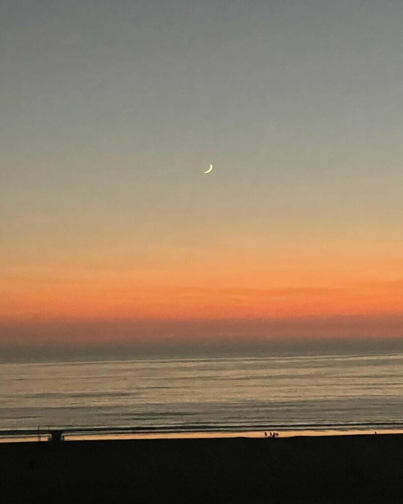 sometimes when I have moments of calm or beauty I hesitate to take pics of them ...