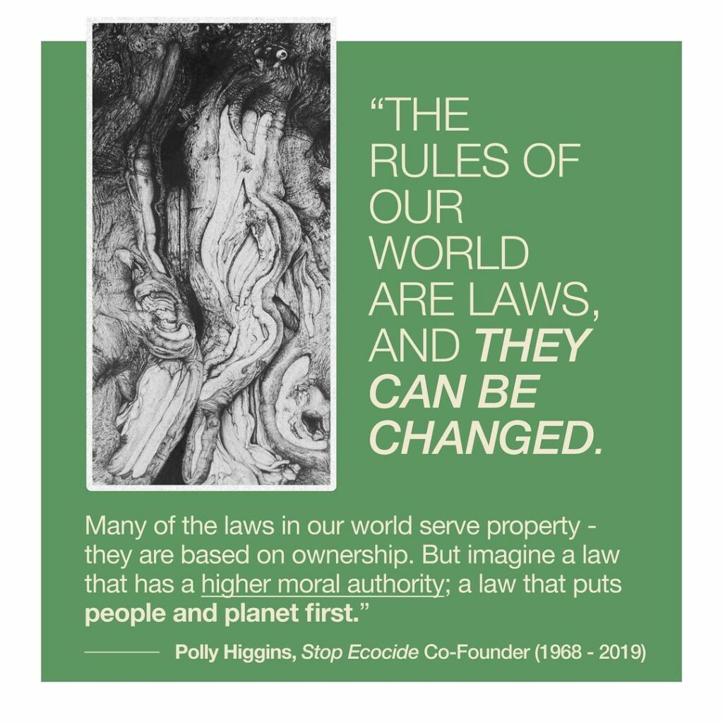 Ecocide: destruction of the natural environment by deliberate or negligent human...