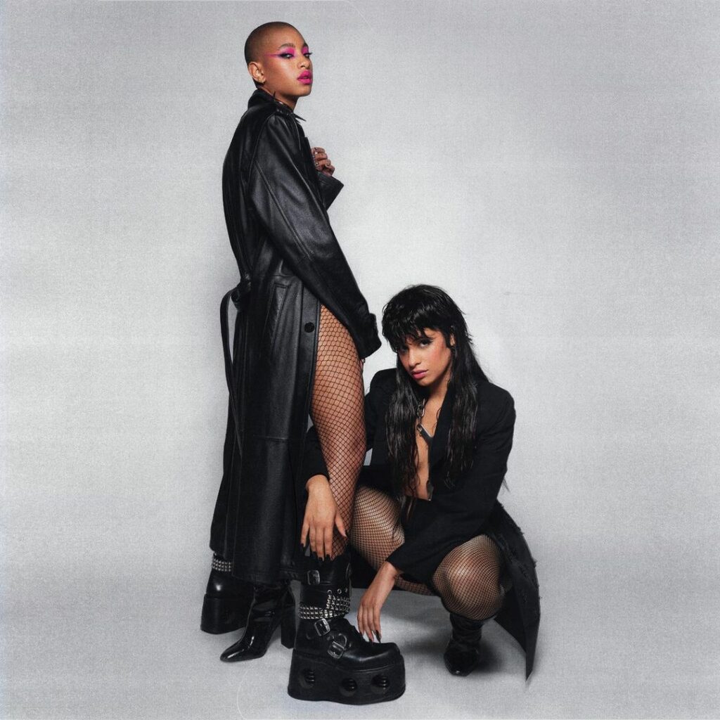 @willowsmith psychofreak music video out w the album on Friday ...