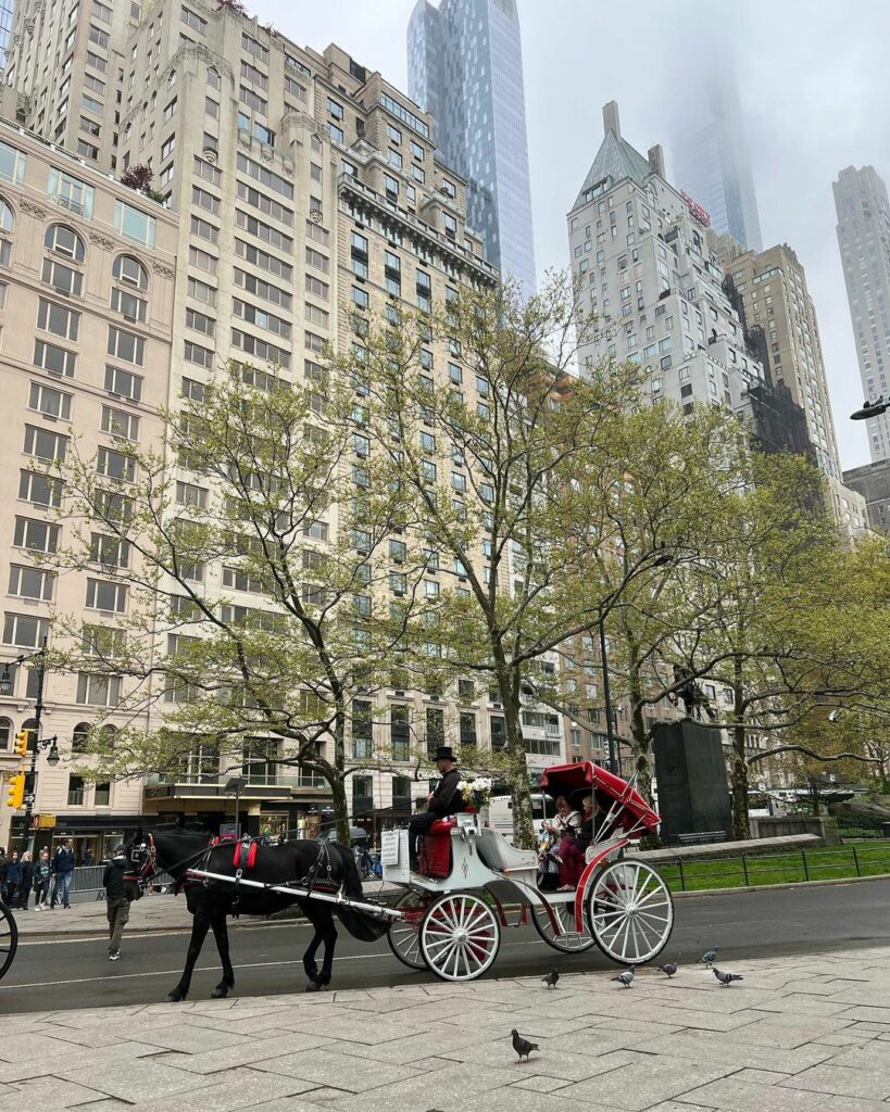 I  NY...