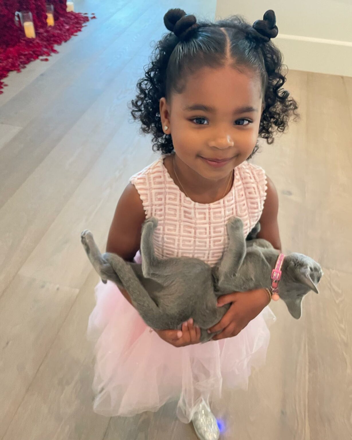 True and Grey Kitty  swipe through for what pure happiness looks like...