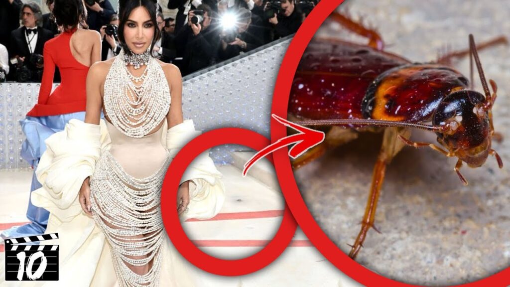 Top 10 Met Gala 2023 Fails That Happened Live Top 10 Met Gala 2023 Fails That Happened Live