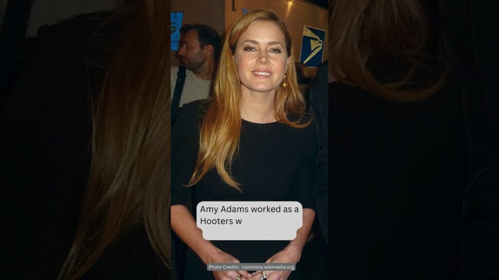 Amy Adams worked as a Hooters waitress before becoming an actress Amy Adams worked as a Hooters waitress before becoming an actress