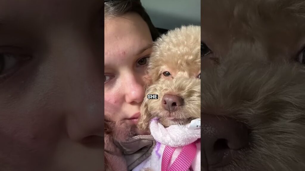 Millie Bobby Brown’s dog Winnie hates her