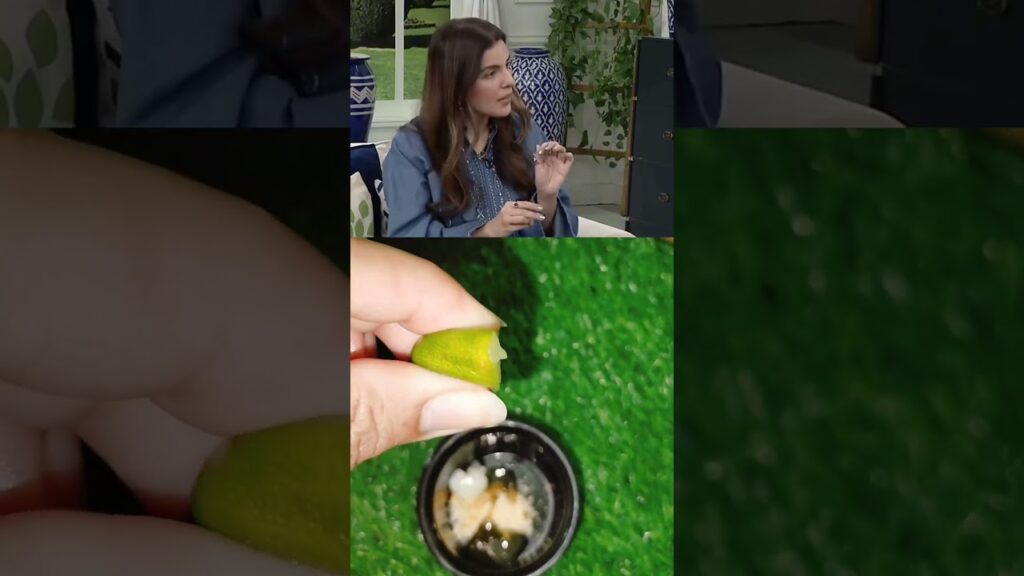 Priyanka Chopra lip care tip ๐ ๐#shortsโ #youtubeshorts #shortsfeed #lips #beautytips Priyanka Chopra lip care tip ๐ ๐#shortsโ #youtubeshorts #shortsfeed #lips #beautytips