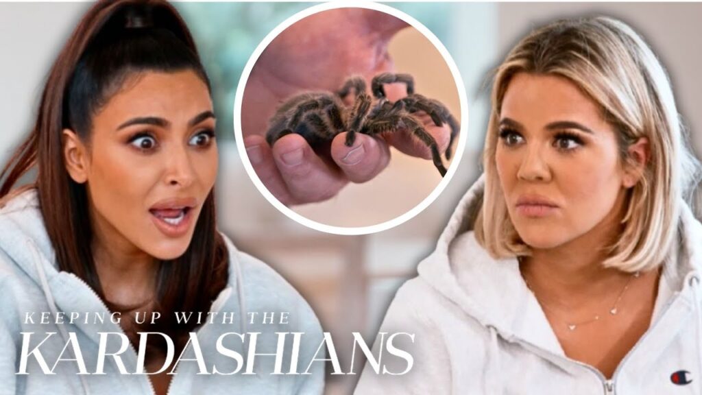 Khloé Kardashian Helps Kim Kardashian Get Over Her Fear of Spiders | KUWTK | E!