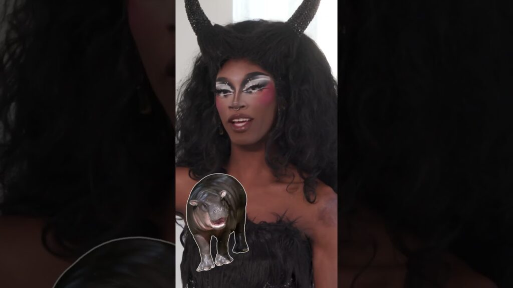 'RuPaul's Drag Race' season 17 queens recap the best pop culture moments of 2024 #shorts