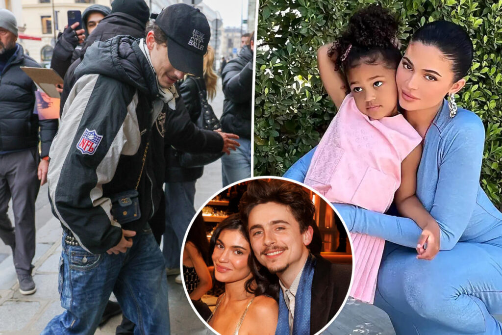 ‘Babe that is Stormi’s purse’