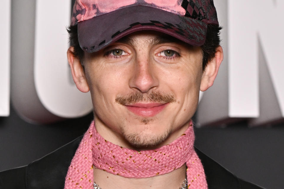 Timothée Chalamet  wearing a patterned cap and scarf, smiling at a celebrity event
