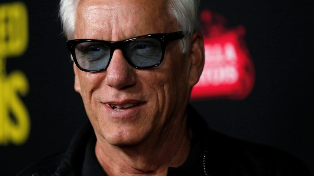 James Woods' house did survive the LA fires: 'A miracle,' he says