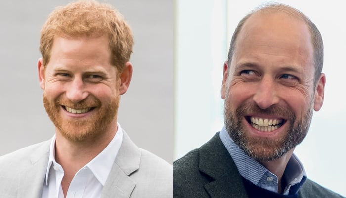 Prince Harry receives good news about Prince William reunion