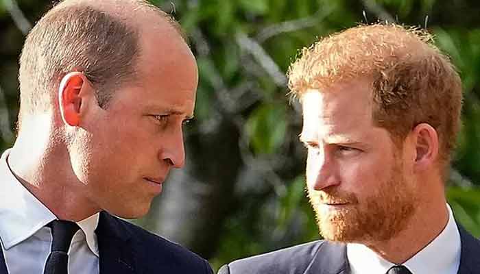 Prince Williams power takes massive toll on Harry