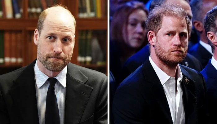 Prince William shares video as key ally joins Harry’s charity Sentebale