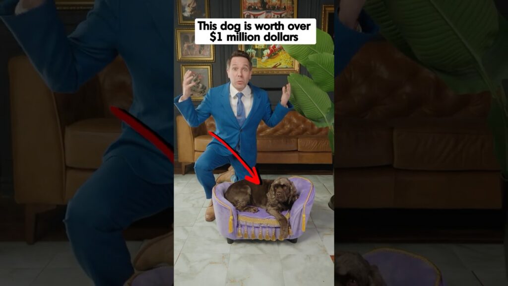 This Dog Is Worth Over $1 MILLION Dollars This Dog Is Worth Over $1 MILLION Dollars