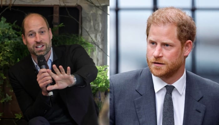 Prince William shares exciting news after Prince Harry’s emotional blow