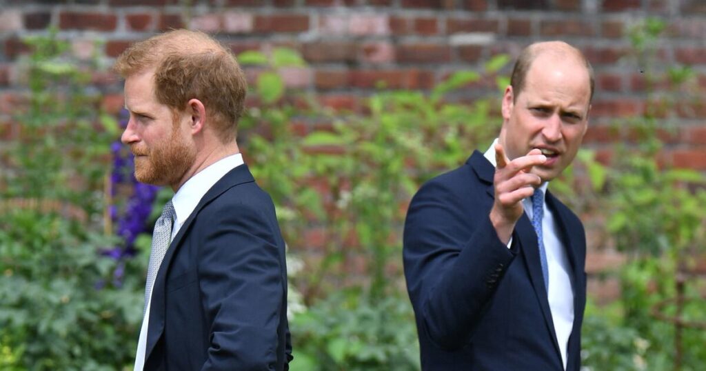 Princes William and Harry May Only Reunite at King Charles’ Funeral: Source