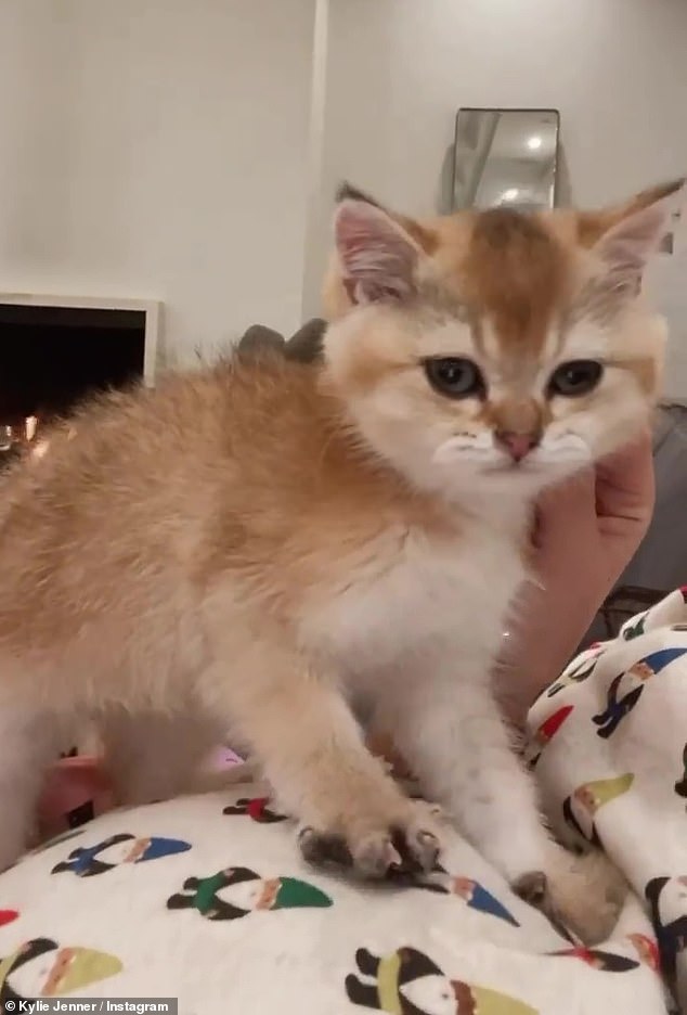 The animal was only about a month old at the time