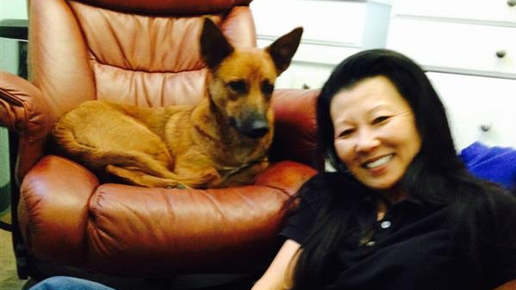 Sheriff's office makes error about Gene Hackman's dog in death report