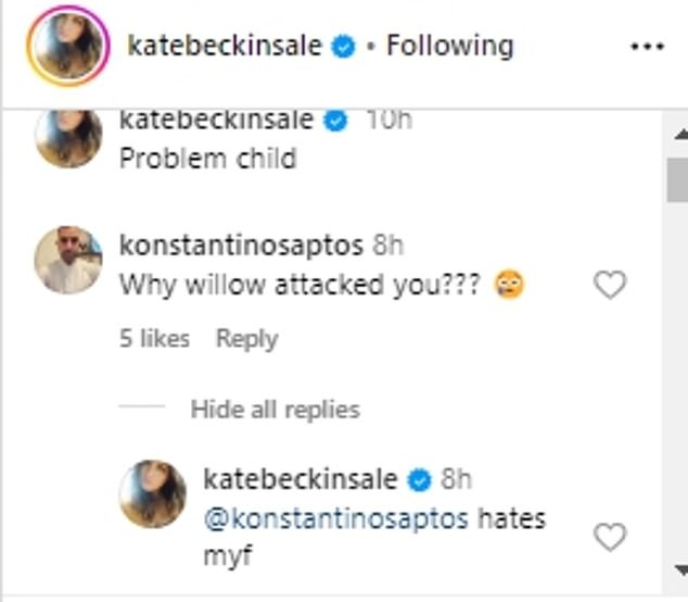 The Underworld star was then asked in the comments section of her post why Willow had attacked her