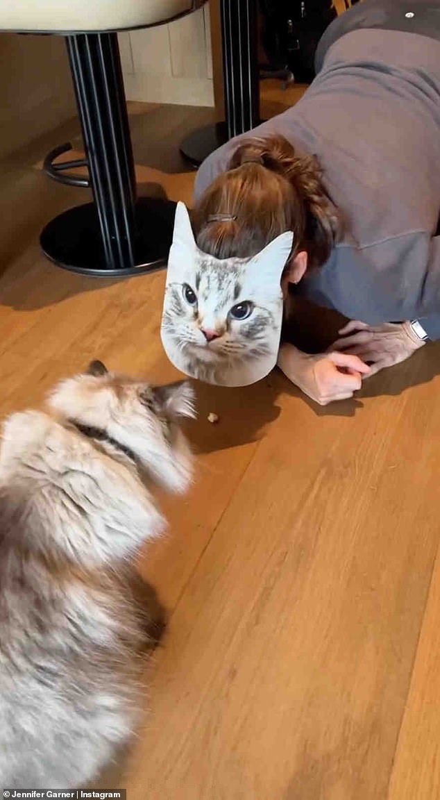 In the video, which was set to Edith Piaf's Je ne regrette rien (I regret nothing), the Alias star attempted to engage her cute cat while crawling around on the floor