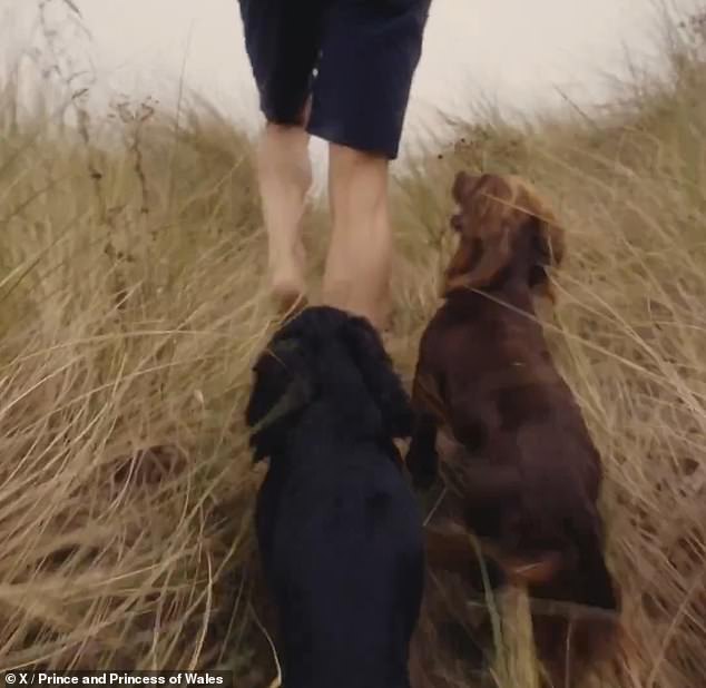 Prince William was in the short film, but he was only seen by the backs of his legs, accompanied by the family dog, Orla, alongside a mysterious brown Cocker Spaniel