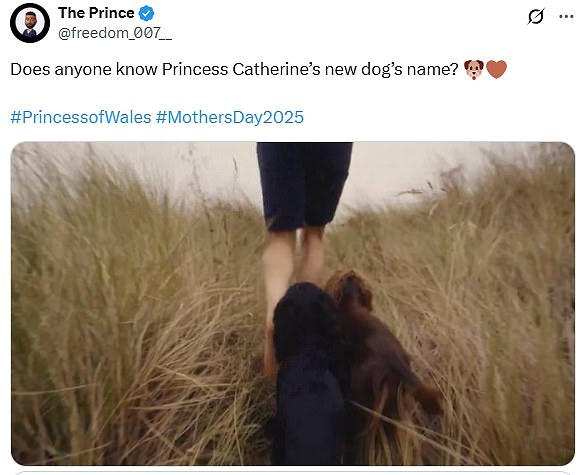 Eagle-eyed lovers of the Royal Family were quick to question whether the Waleses have a new dog, taking to X to express their thoughts