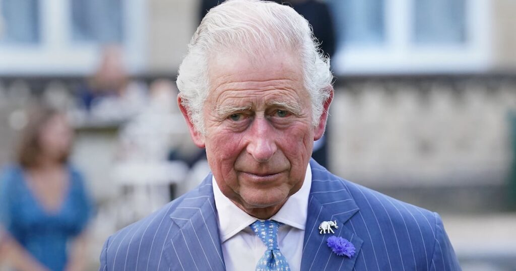 Katherine Heigl Sues Dog Rescue for Defamation - The Daily Beast