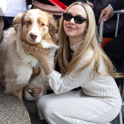Sebastien Courdji/Getty Amanda Seyfried.