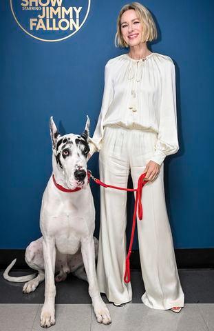Todd Owyoung/NBC via Getty Bing the dog and Naomi Watts.