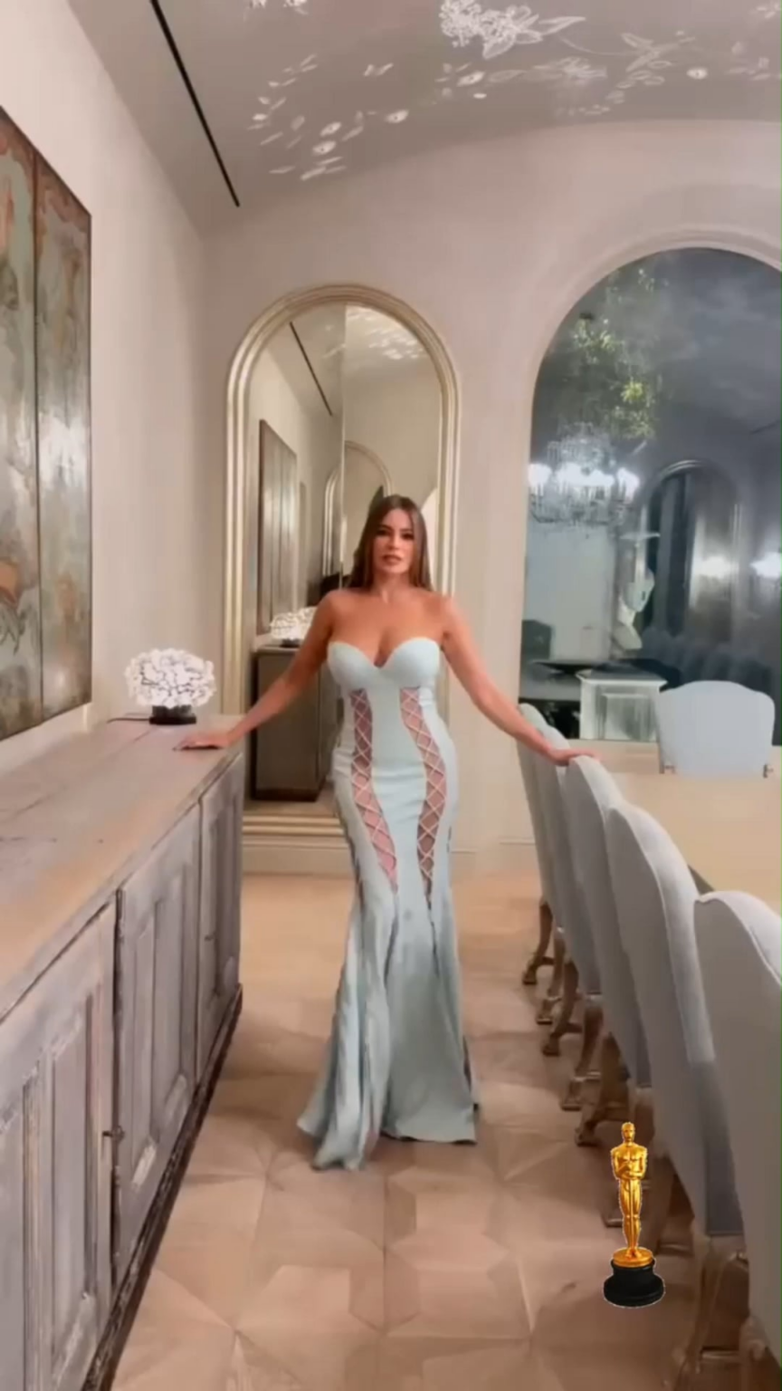 Sofia Vergara Oscars Vanity Fair After Party 3/2/25