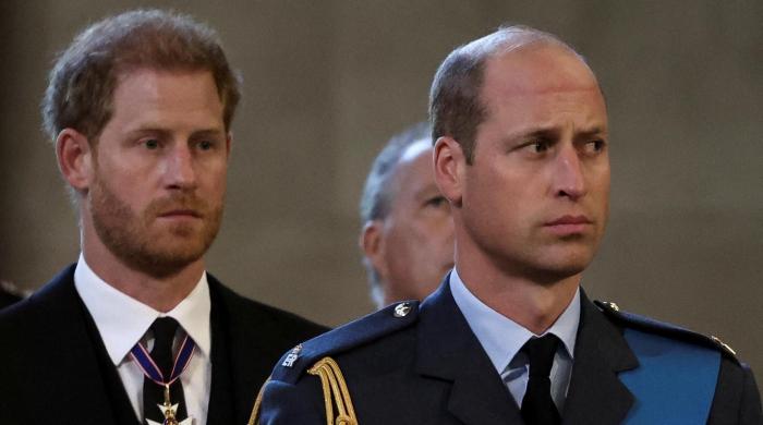Prince William, Prince Harry could clash over Diana’s documentary despite warning Prince William, Prince Harry could clash over Diana's documentary despite warning