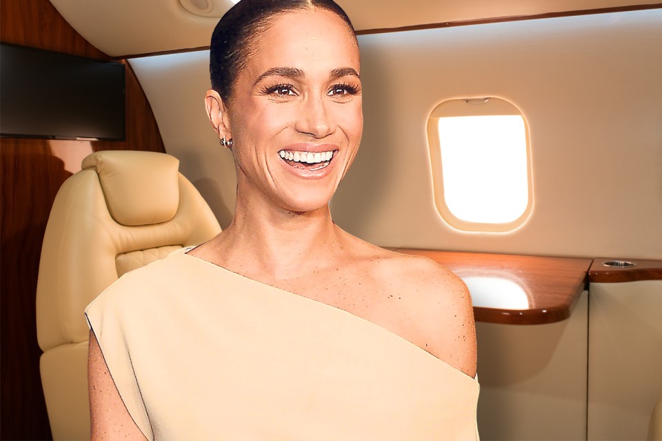 Meghan Markle on a private jet.