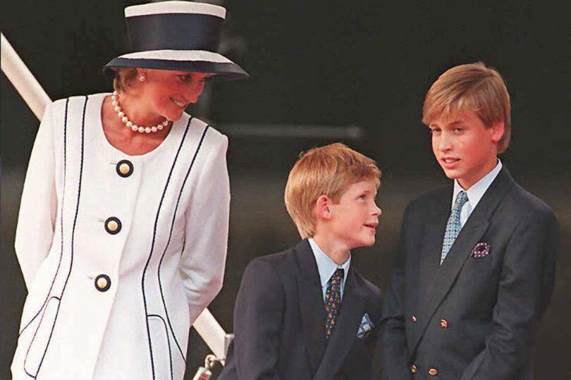 Princess Diana 'would have stopped royal family feud,' former bodyguard reveals