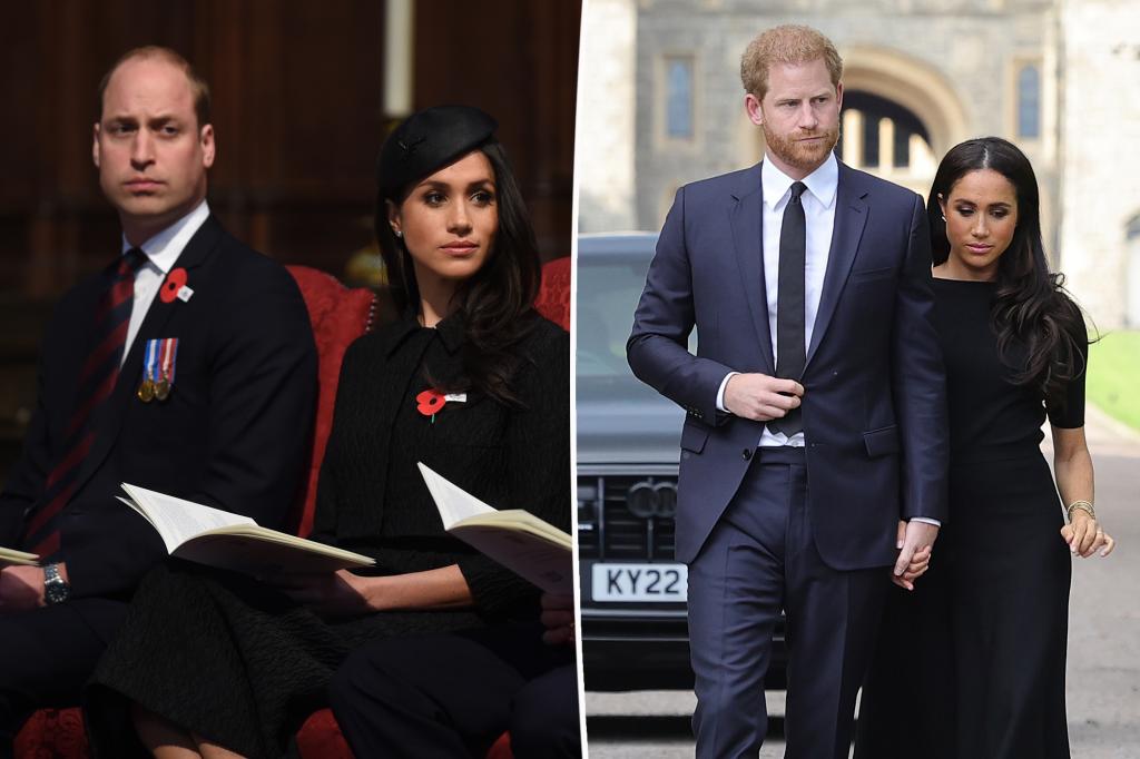 Prince William to strip Meghan Markle, Prince Harry of 'HRH' titles: report