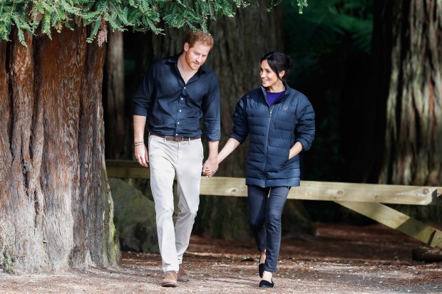 Prince Harry, Duke of Sussex and Meghan, Duchess of Sussex...