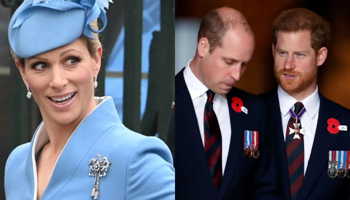 Zara Tindall makes shocking confession about Prince William, Harry