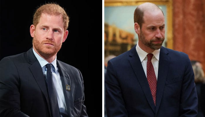Prince William, Prince Harry reunite in grief as they lose beloved ally