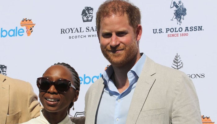 Prince Harry former charity releases statement amid ongoing probe